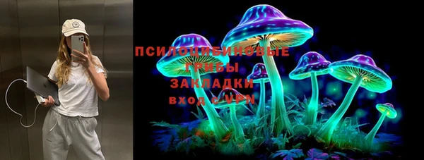 apvp Гусиноозёрск