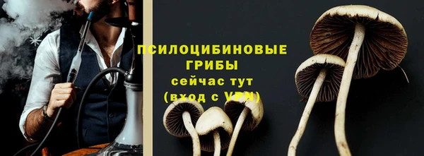 apvp Гусиноозёрск