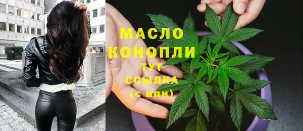 apvp Гусиноозёрск