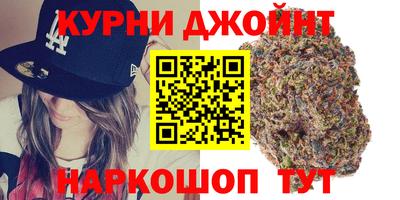 индика Жуковский